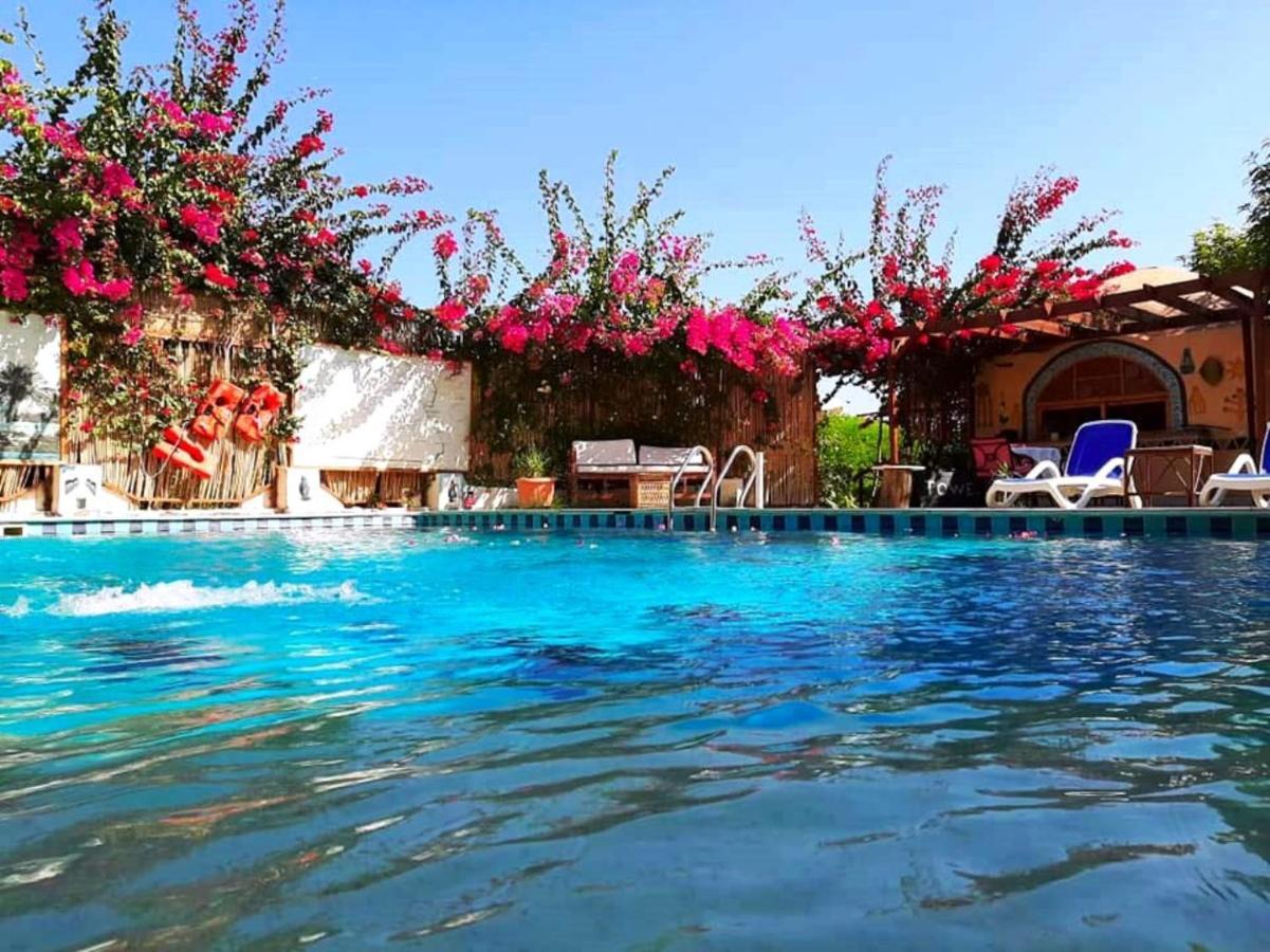Nile Compound Hotel Luxor Bagian luar foto