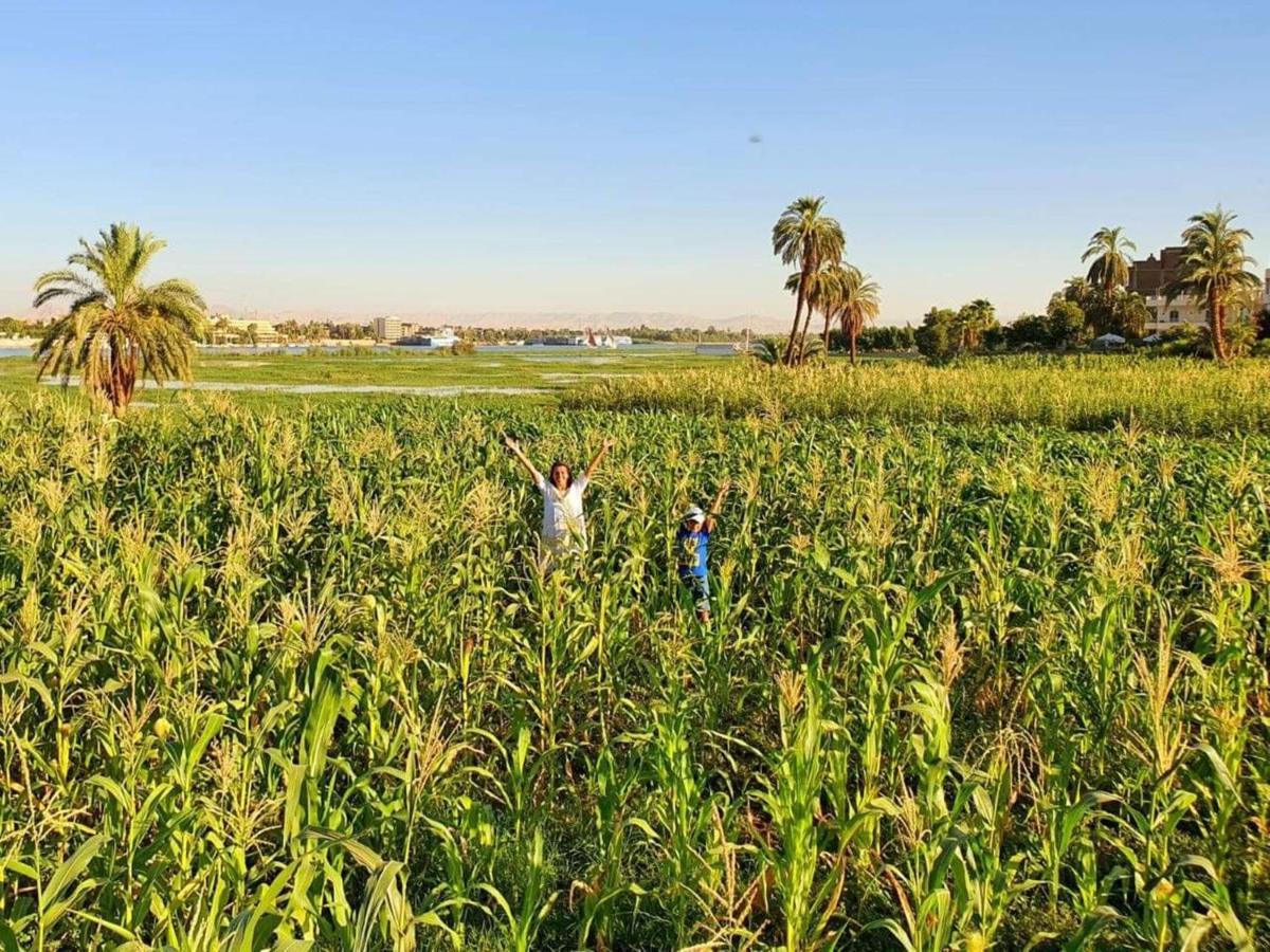 Nile Compound Hotel Luxor Bagian luar foto