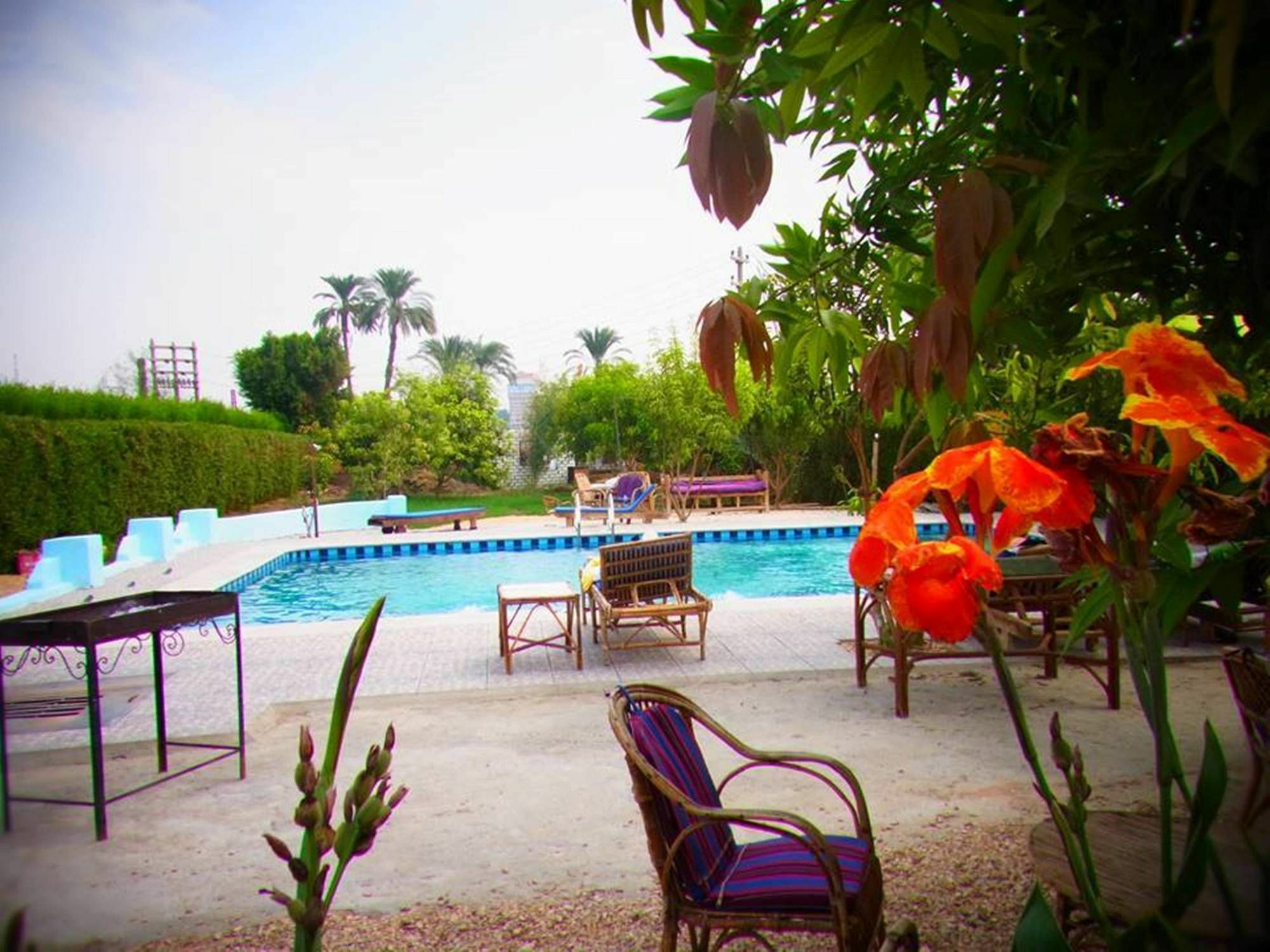 Nile Compound Hotel Luxor Bagian luar foto